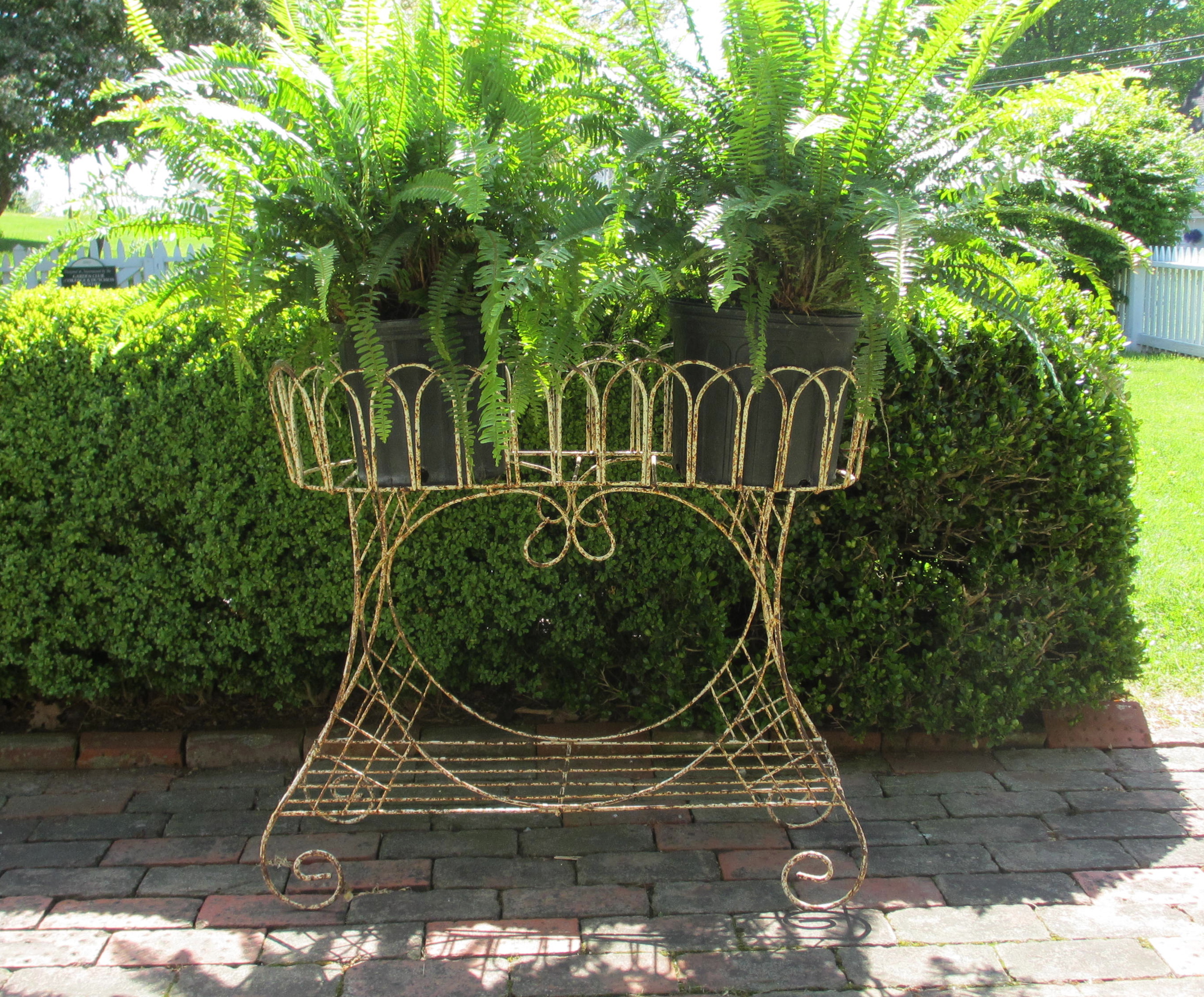 Victorian Wire Planter c 1880 | BertoliniCo.com